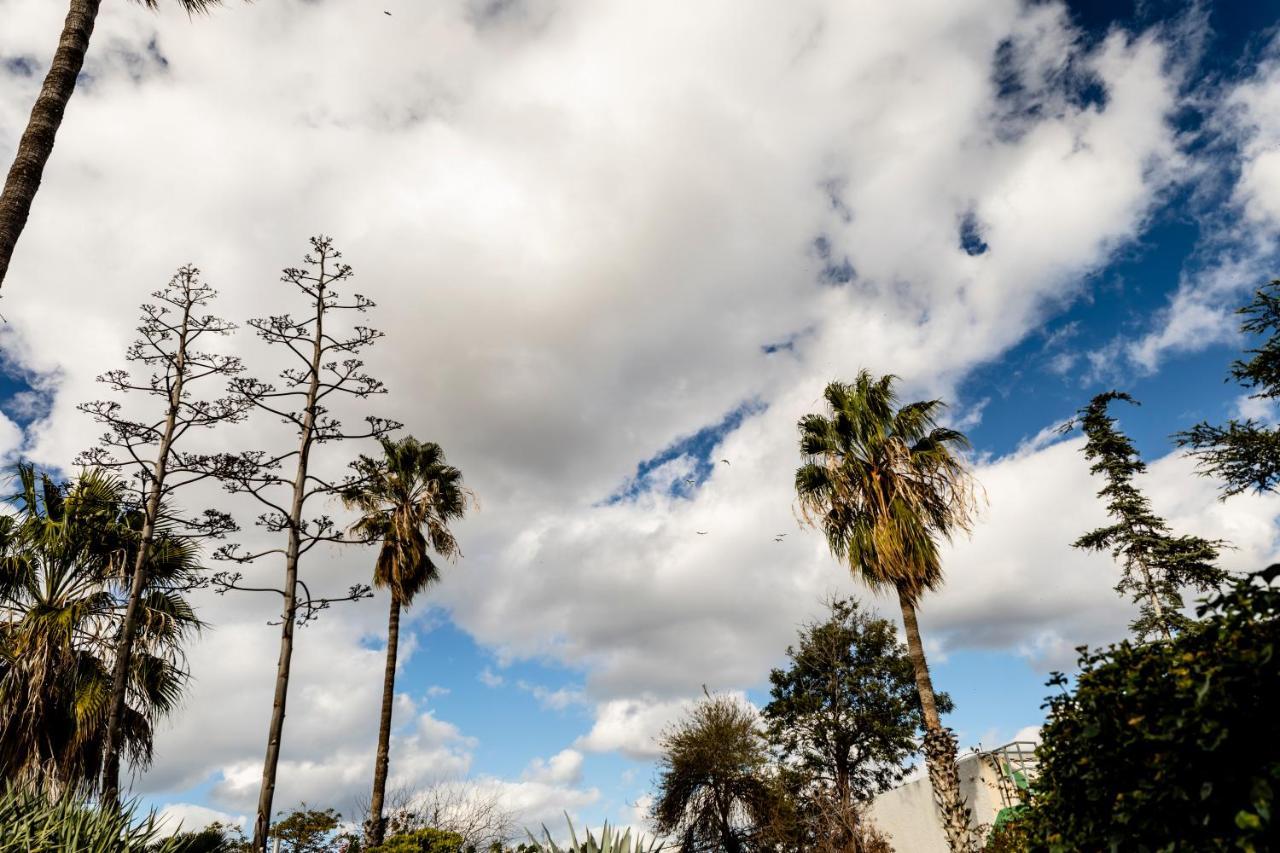 Nes Ammim Hotel Bagian luar foto