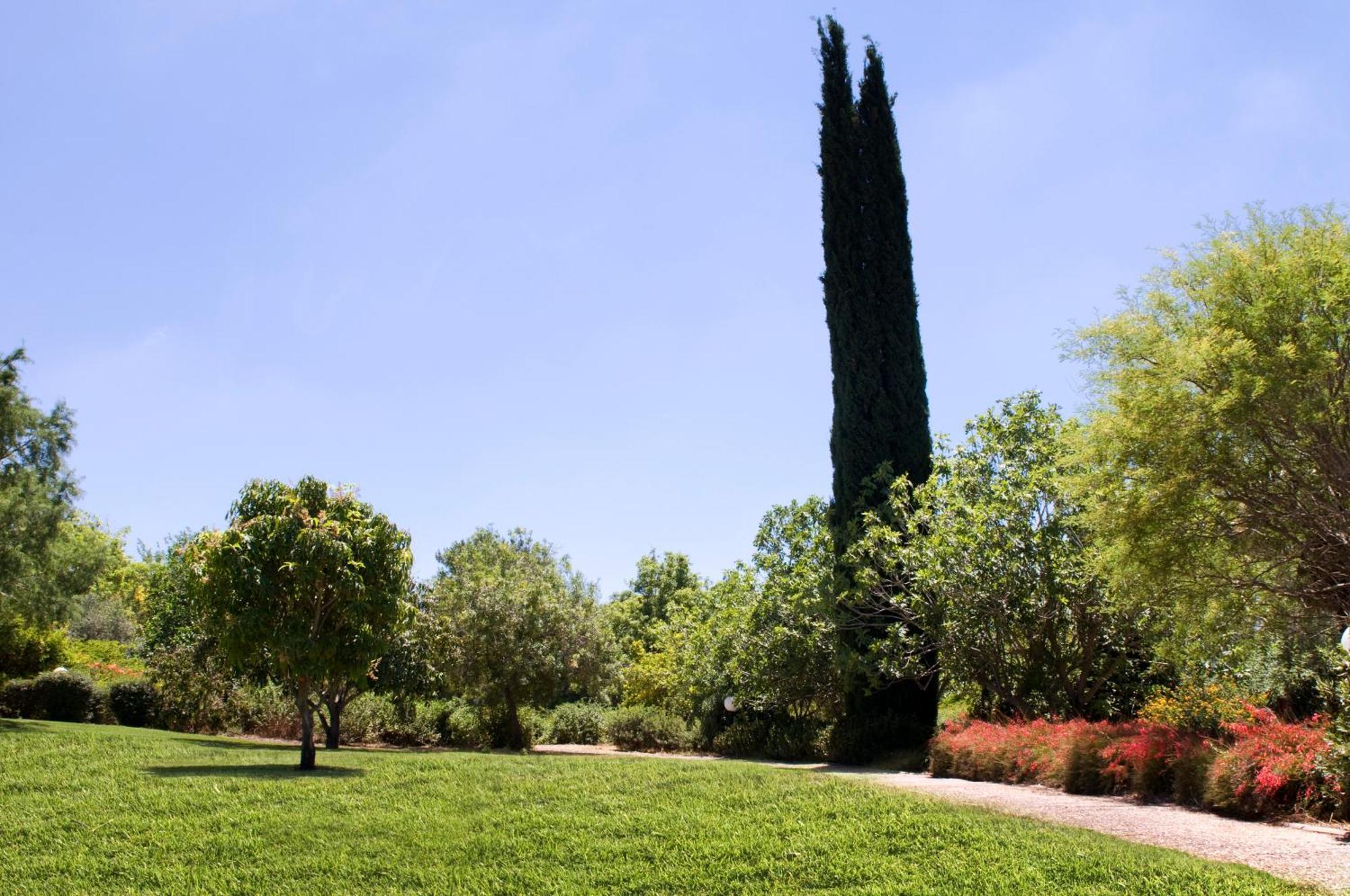 Nes Ammim Hotel Bagian luar foto